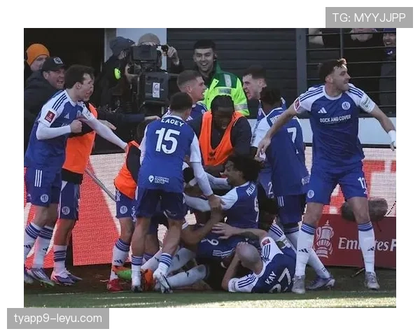 水晶宫球迷主场助威，球队表现亮眼